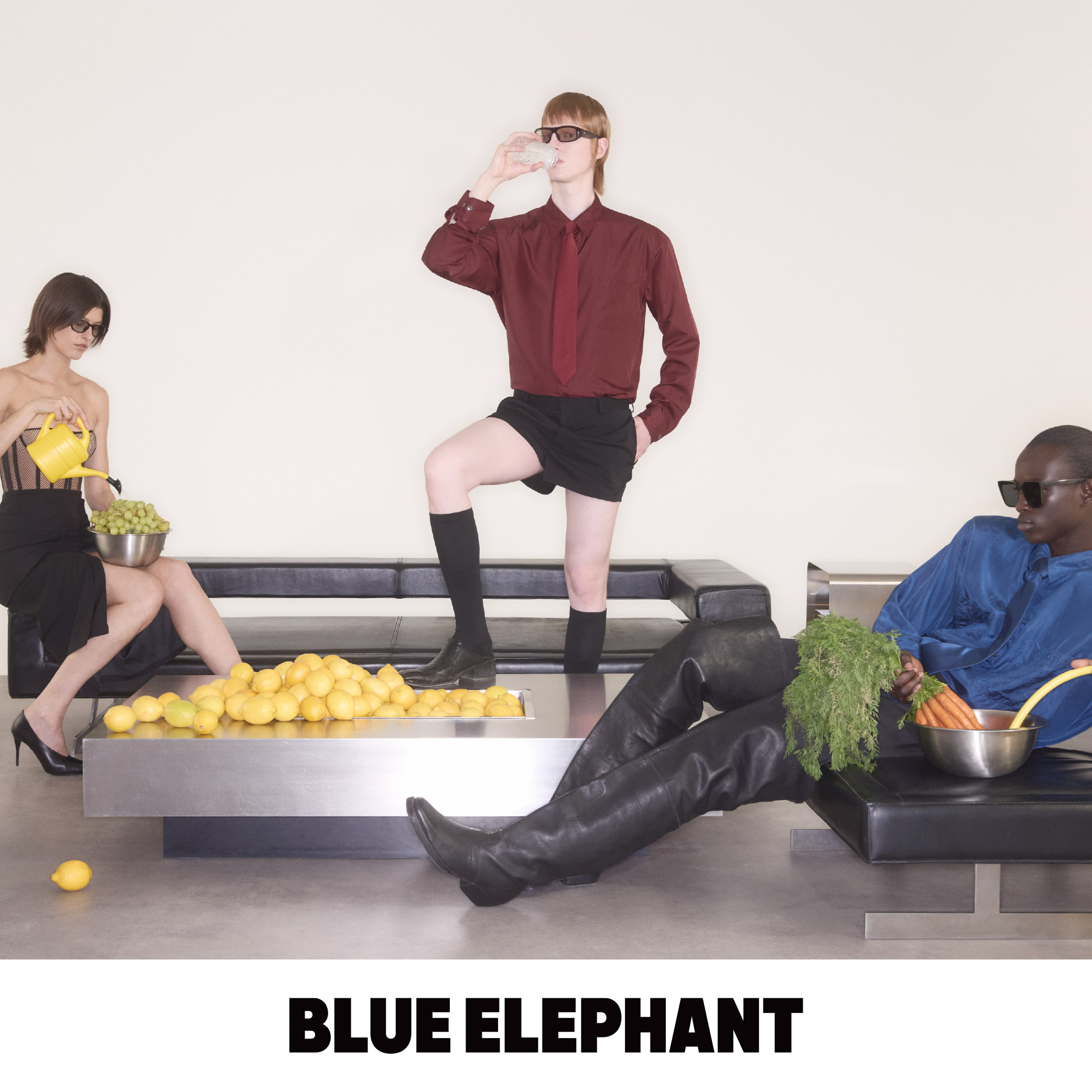 Blue Elephant登陸網店