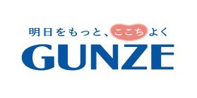 Gunze Socks